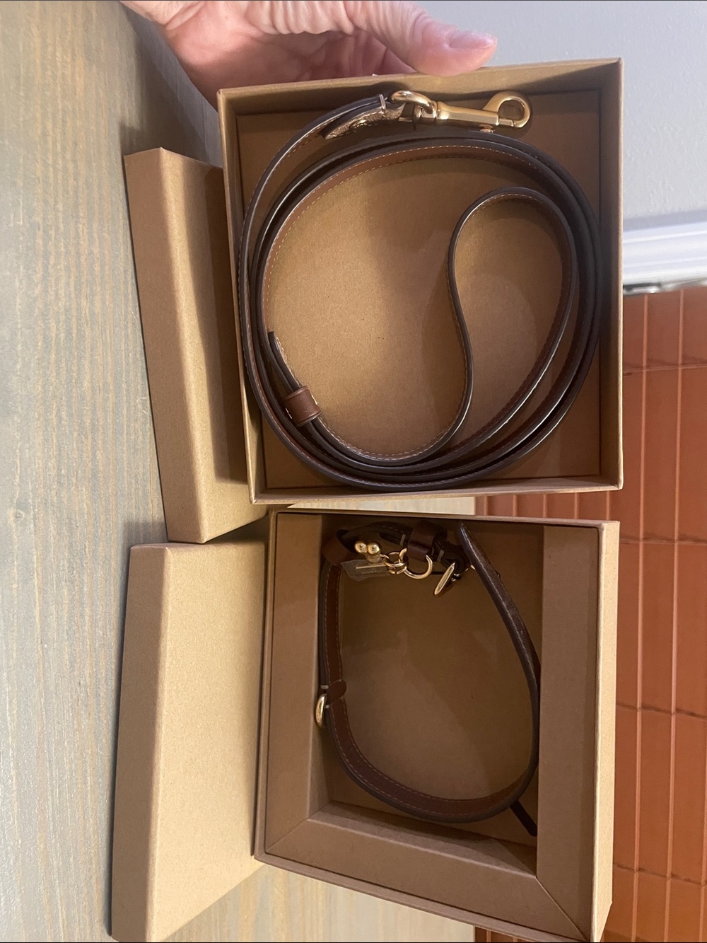 NIB Coach Small Pet Collar & Leash Set Signature Canvas - offers accepted!